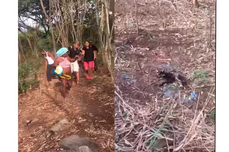 mujeres ritual de brujería con animales