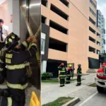 Se desplomó ascensor con una mujer y su mascota