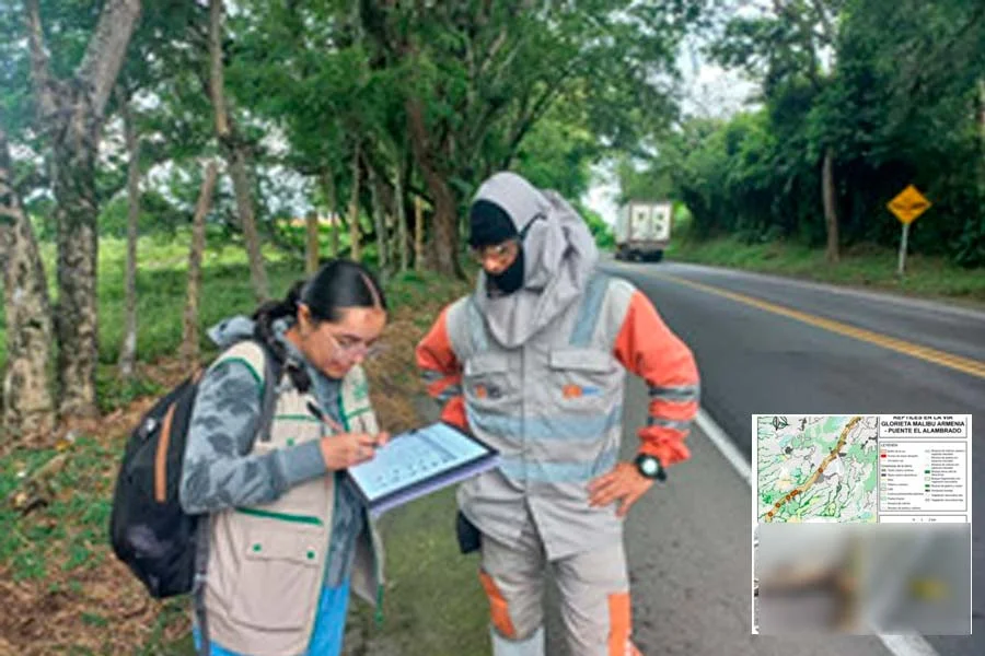 CRQ atropellamiento de fauna Quindío