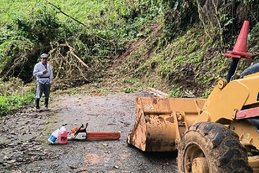calamidad pública Buenavista