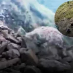 explosivos vía cerrada derrumbe Génova
