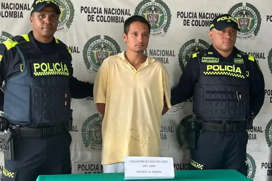 mató a un perrito en Armenia