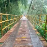 orden judicial puente Don Nicolás