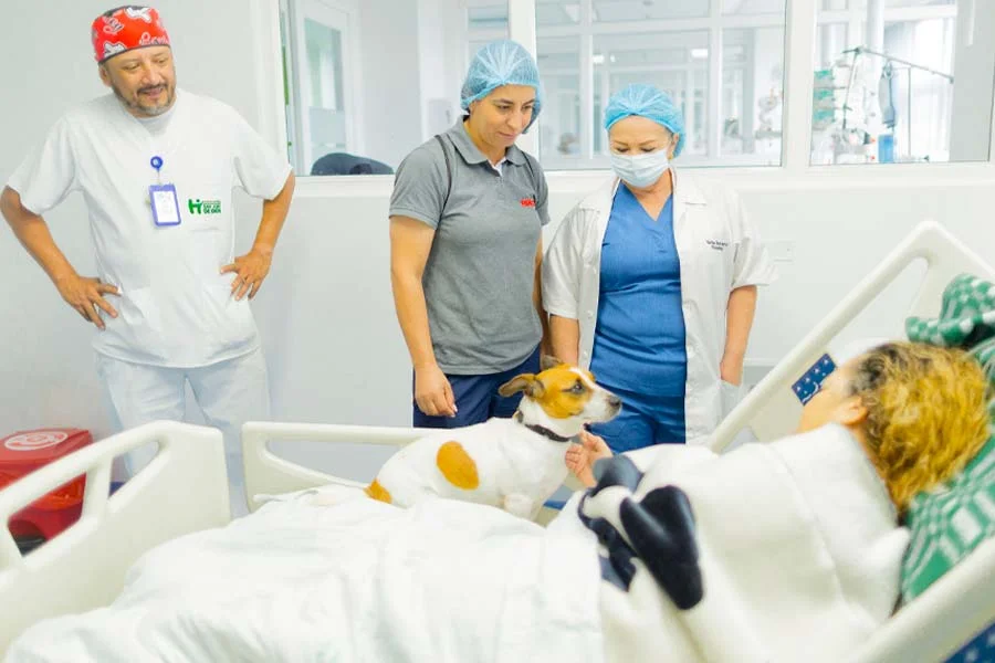 Pacientes hospital San Juan de Armenia Moca ayudará terapias