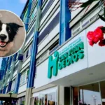 mascotas Hospital San Juan de Dios de Armenia