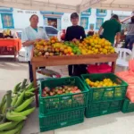 mercado campesino más grande del Quindío