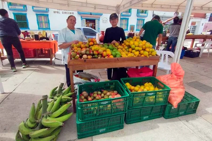 mercado campesino más grande del Quindío