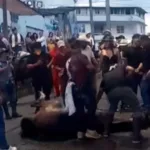 yegua se desplomó en cabalgata de Calarcá