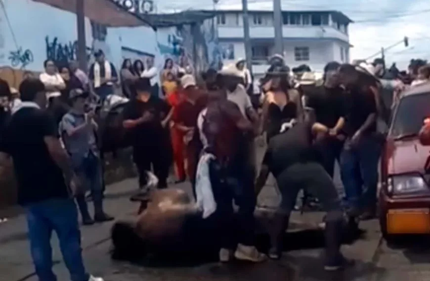 yegua se desplomó en cabalgata de Calarcá