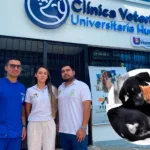 Atenderán gratis animales en condición vulnerable Quindío
