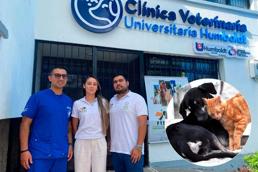 Atenderán gratis animales en condición vulnerable Quindío