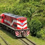 tren del pacífico tren del café