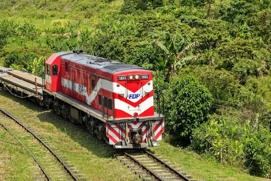 tren del pacífico tren del café