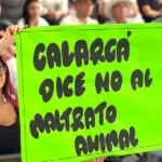 Se acaban las cabalgatas obligatorias en Calarcá