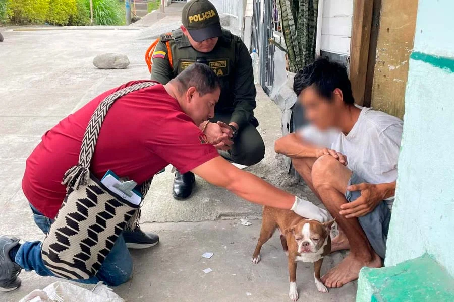 Alcaldía rescató perrita en Armenia