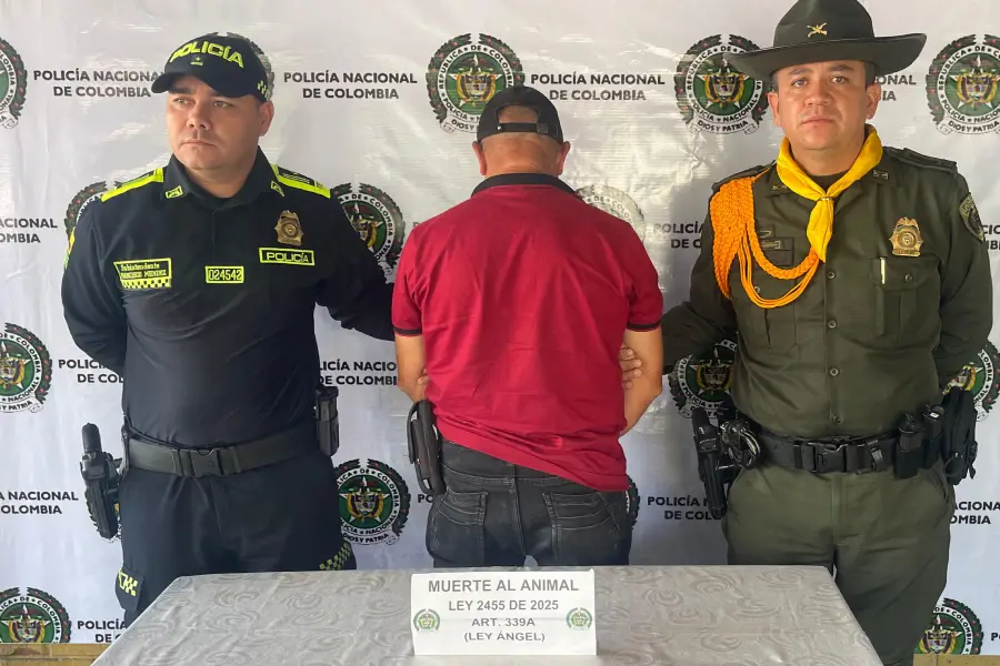 Capturan Buenavista asesinar cachorrito Ley Ángel