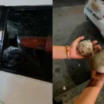 Hinchas del Pereira denuncian agresiones con piedras en Armenia