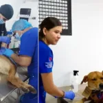 Peluditos vulnerables Quindío atención gobernación universidad von Humboldt