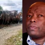 Se volcó camión con los caballos del Tino Asprilla en Tuluá